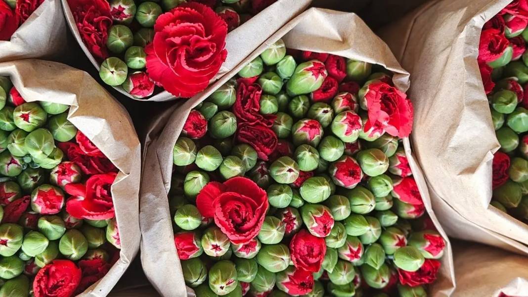 Antalya’nın Çiçekleri Avrupa’yı Renklendirecek 4